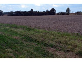 Property photo 105 - EHLE FARMS AUCTION - 118+/- ACRES IN 9 TRACTS IN ALLEN COUNTY, INDIANA